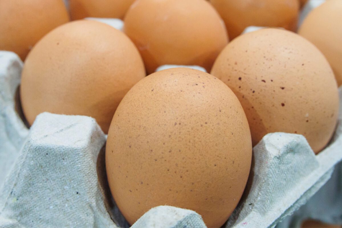 large carton of eggs