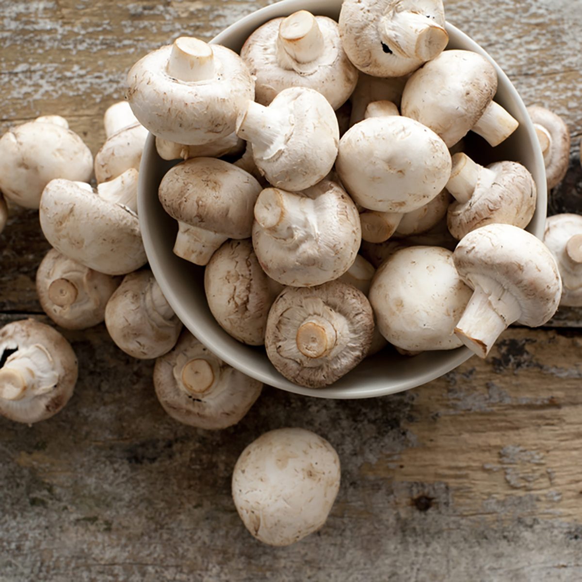 Fresh whole white button mushrooms, or agaricus, in a bowl on a rustic wooden counter ready to be cleaned and washed for dinner, overhead