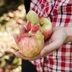 13 Heirloom Apples Your Grandma Used for the Perfect Pie