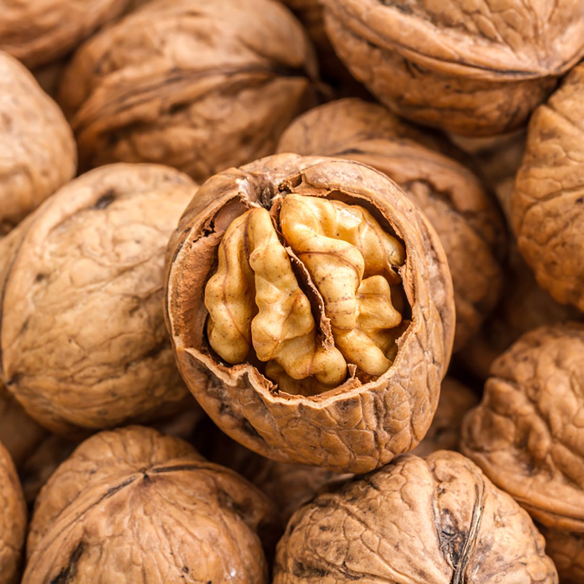 walnuts