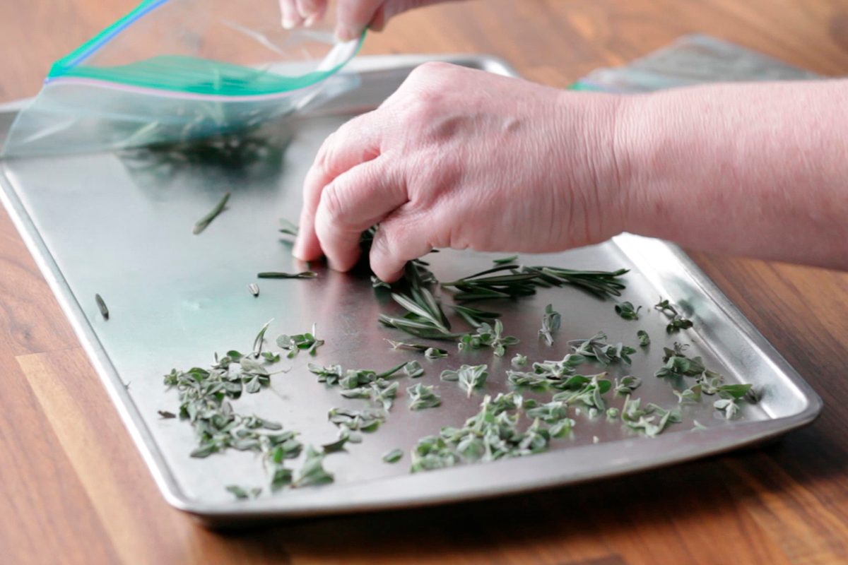 How to Freeze Herbs