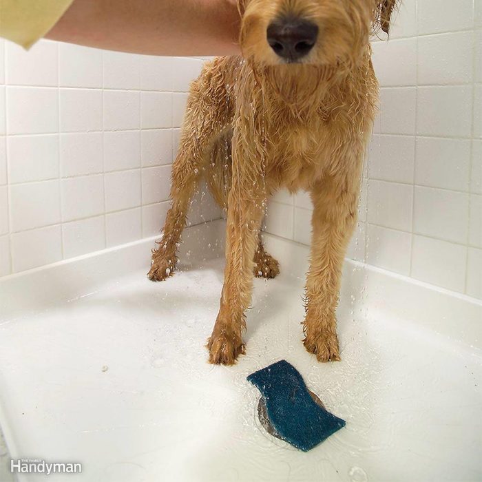 Dog being bathed