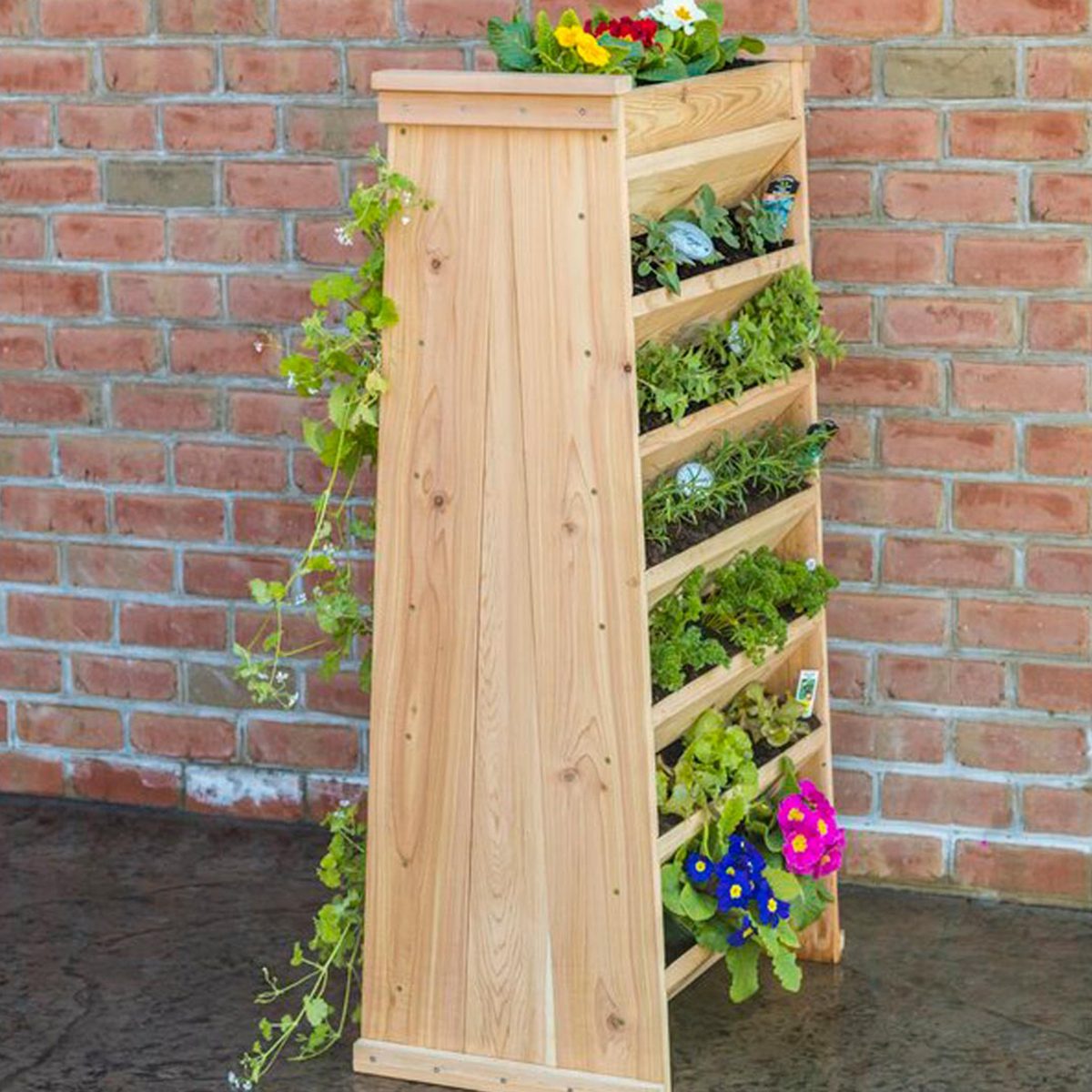 Vertical garden