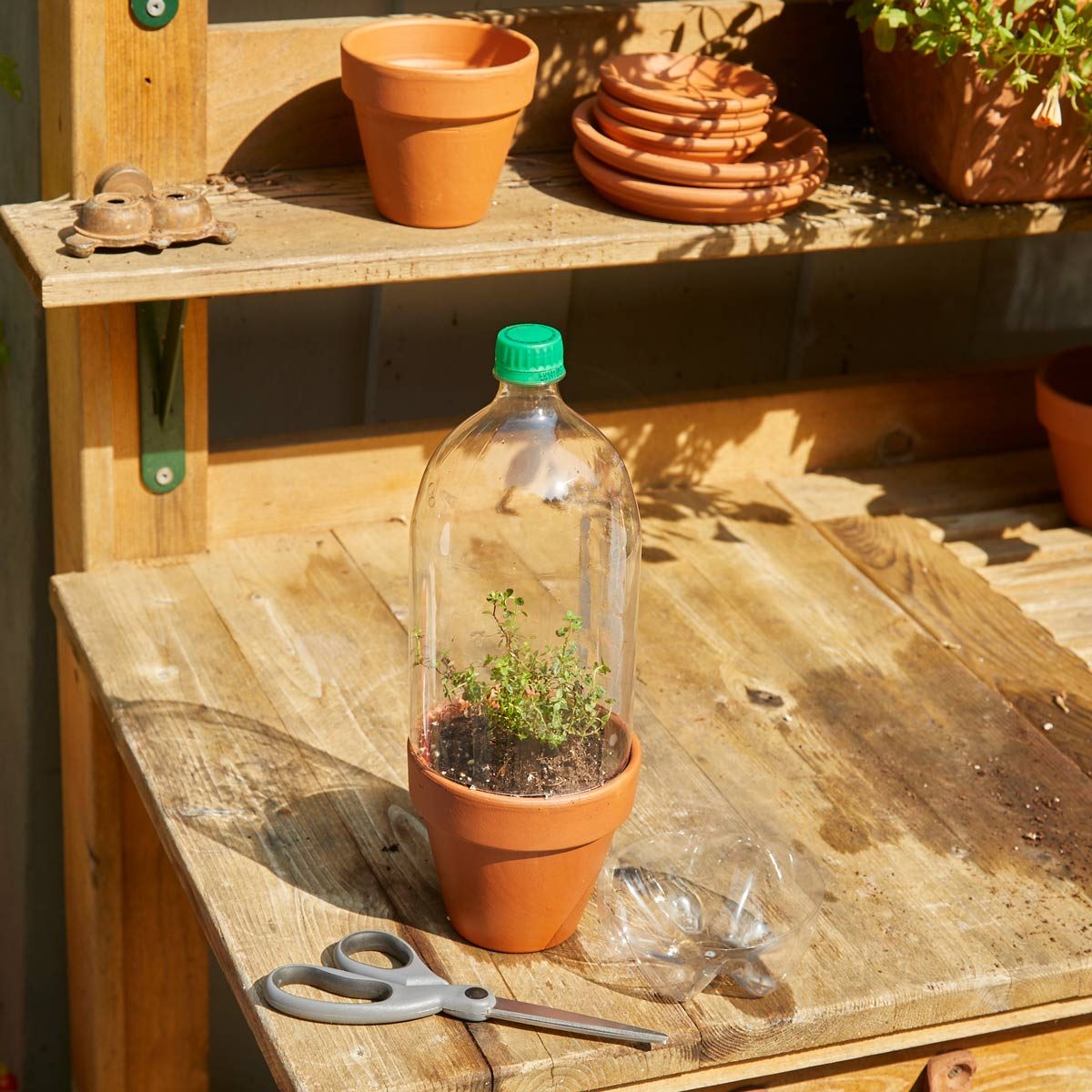 HH Handy Hint Micro Green house pop bottle