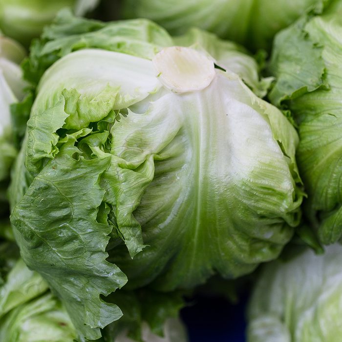Iceberg lettuce