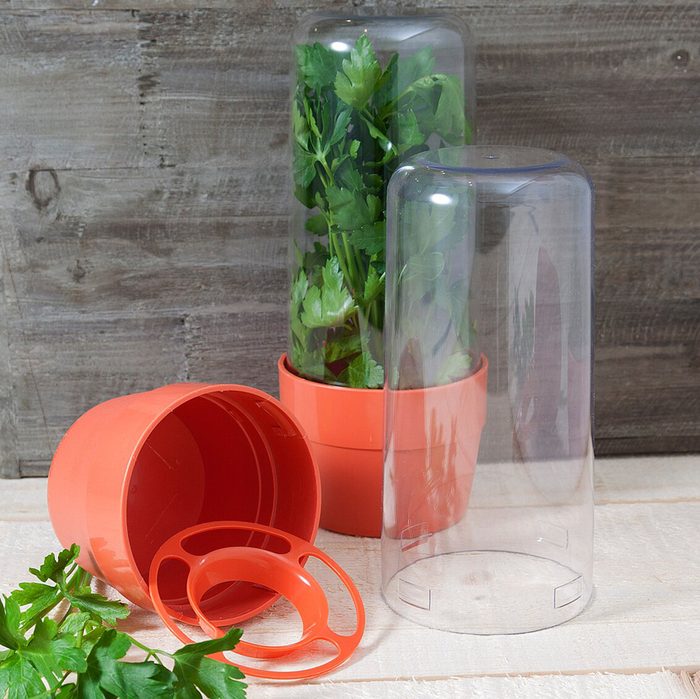 Kestner Herb And Salad Storage Container