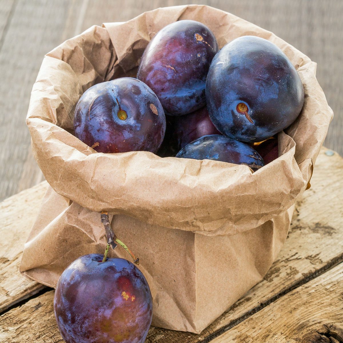 Purple Plum Orchard In A Paper Bag