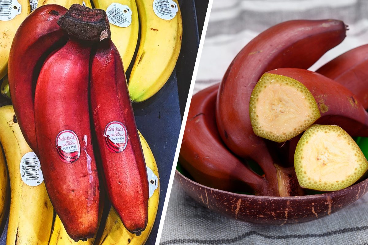 Red Bananas Are Real—Here’s Where to Find Them