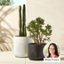 10 Cute Yet Useful Indoor Plant Pots Hand-Picked By Our Stylist