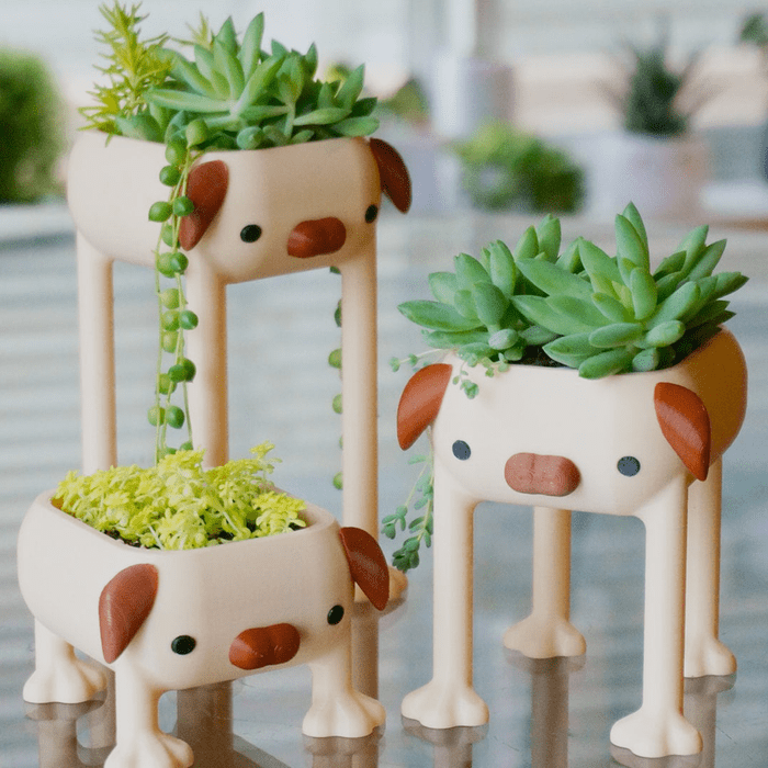 Leggy Dog Planters