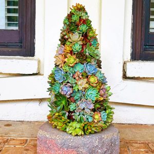 Living Succulent Christmas Tree Holiday Ecomm Via Etsy.com