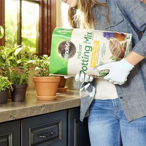 Miracle Gro Indoor Plant Potting Soil Ecomm Via Acehardware.com