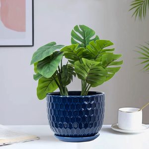 Nattol Ceramic Flower Pots with Drainage Hole and Saucer