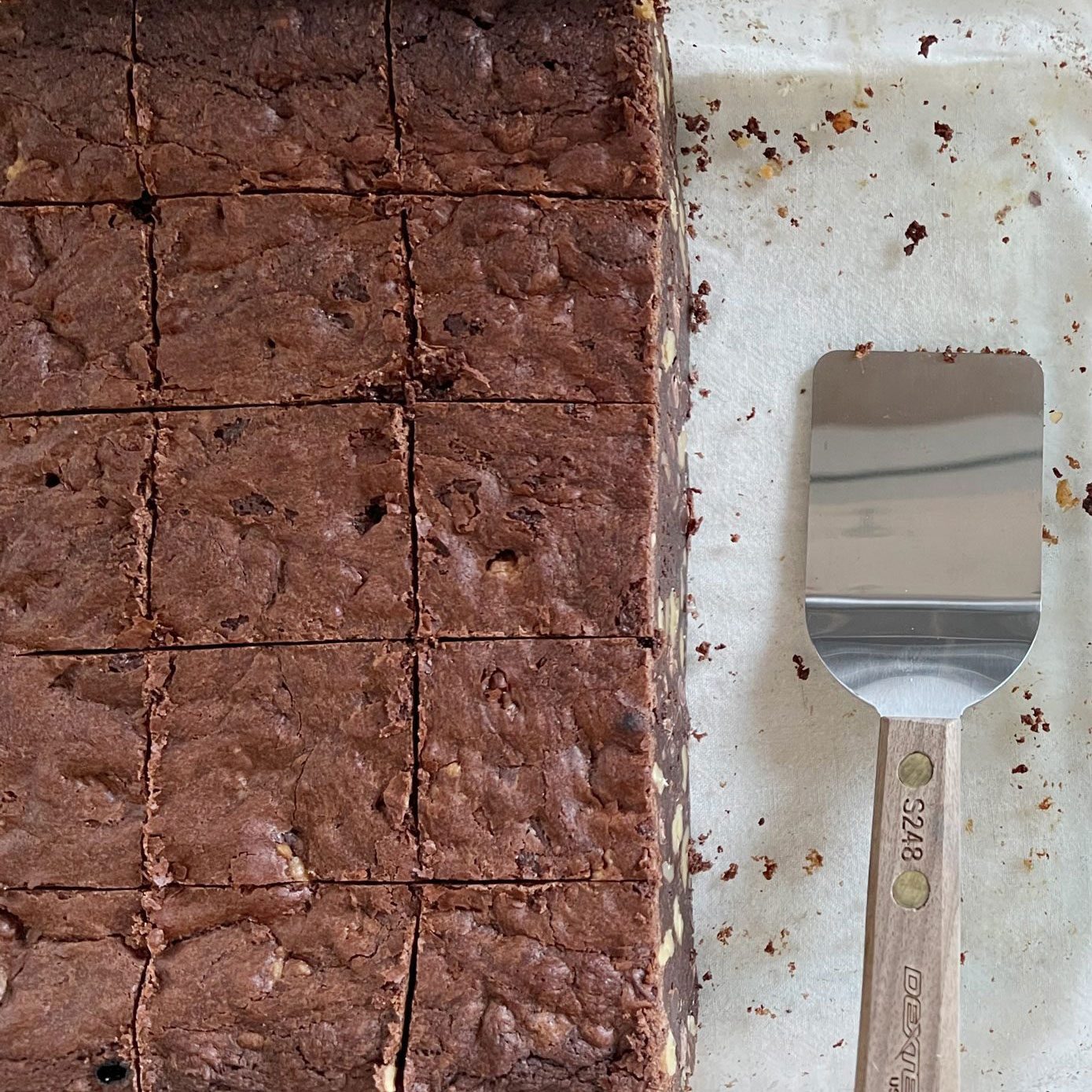 Outrageous Brownies