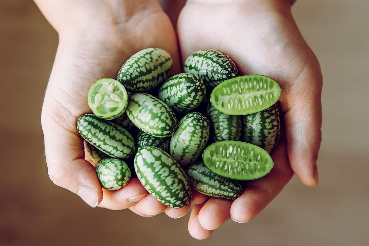 What Is a Cucamelon?