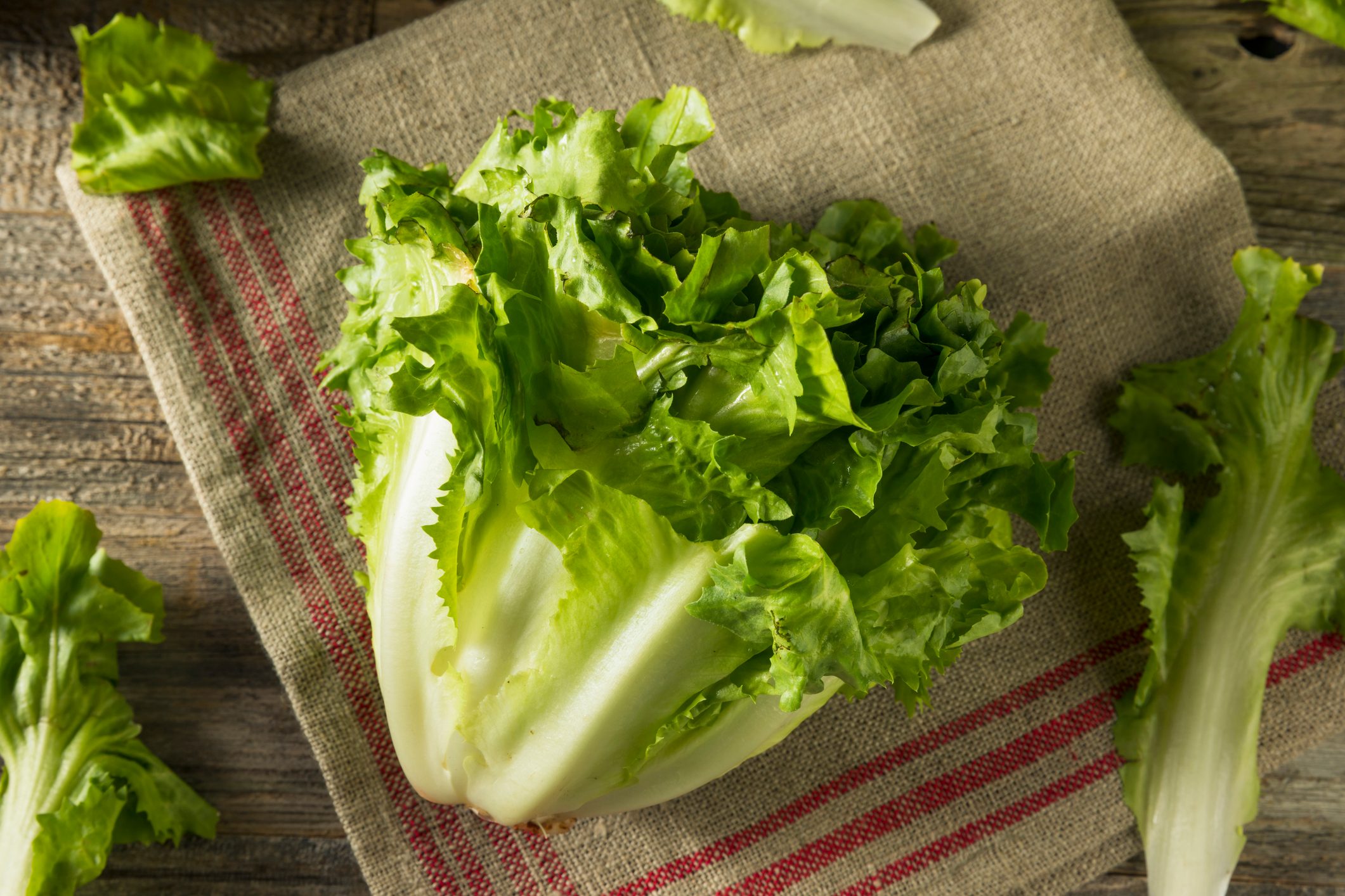 Raw Green Organic Escarole Lettuce