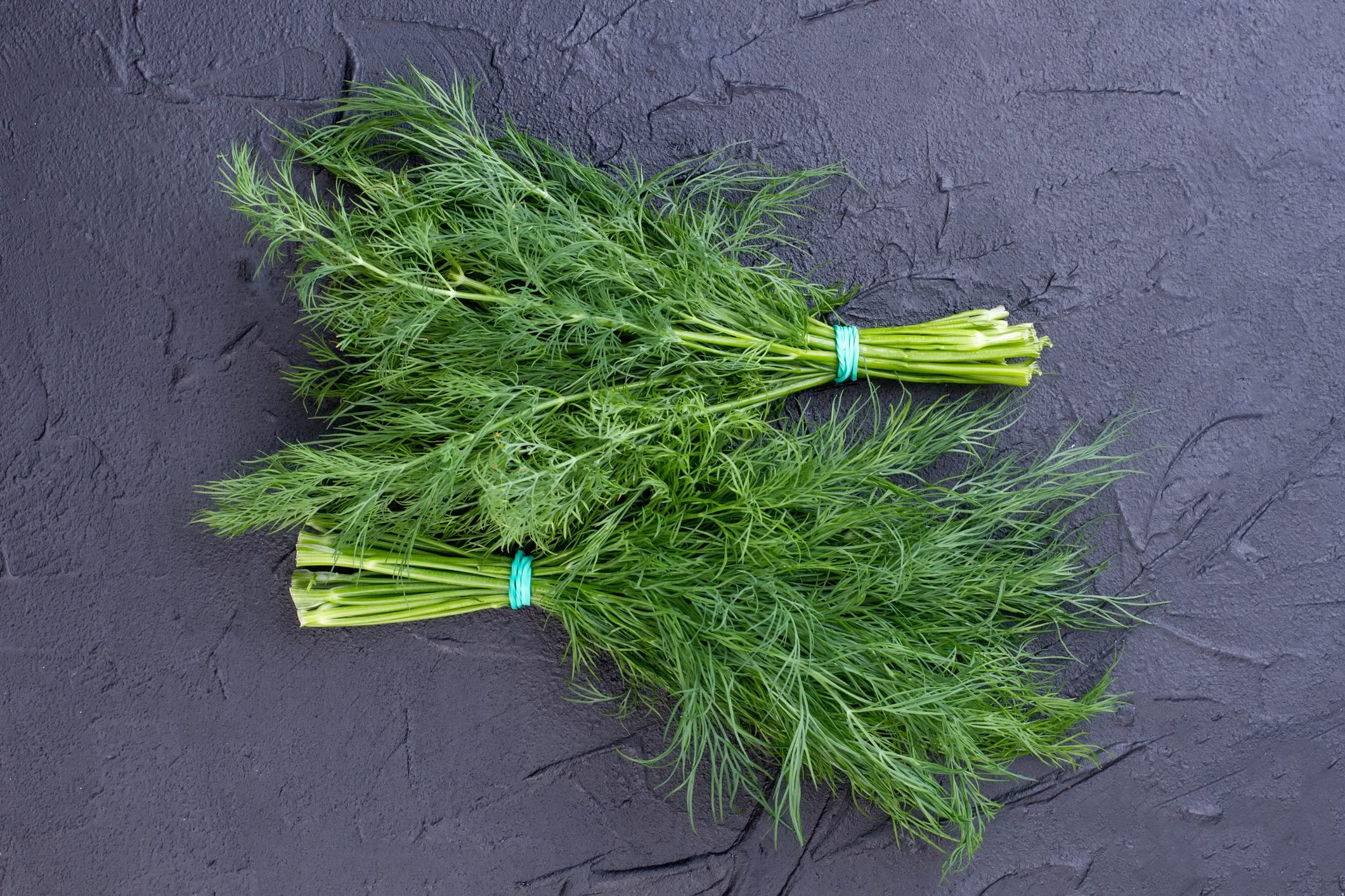 Organic dill on dark textured background.