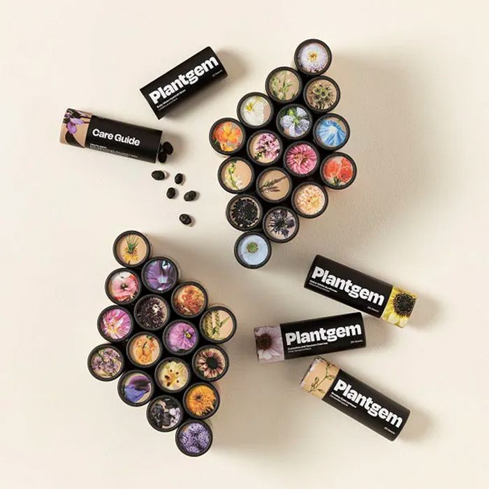 Flower Garden In A Box