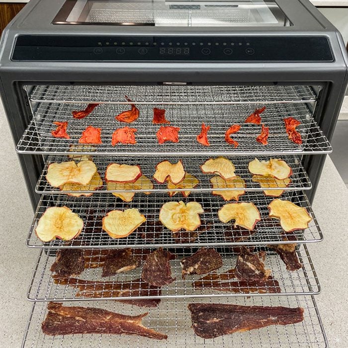 Excalibur Performance Series Food Dehydrator