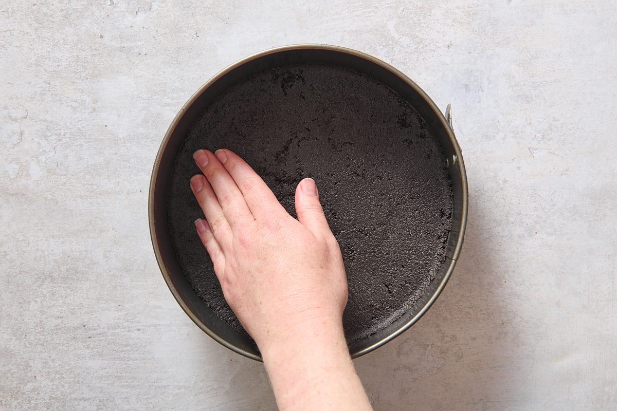 Preparing the Oreo crust in the springform pan