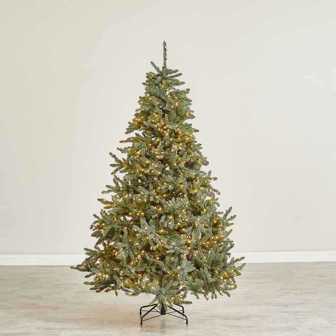 Balsam Hill Classic Blue Spruce Tree