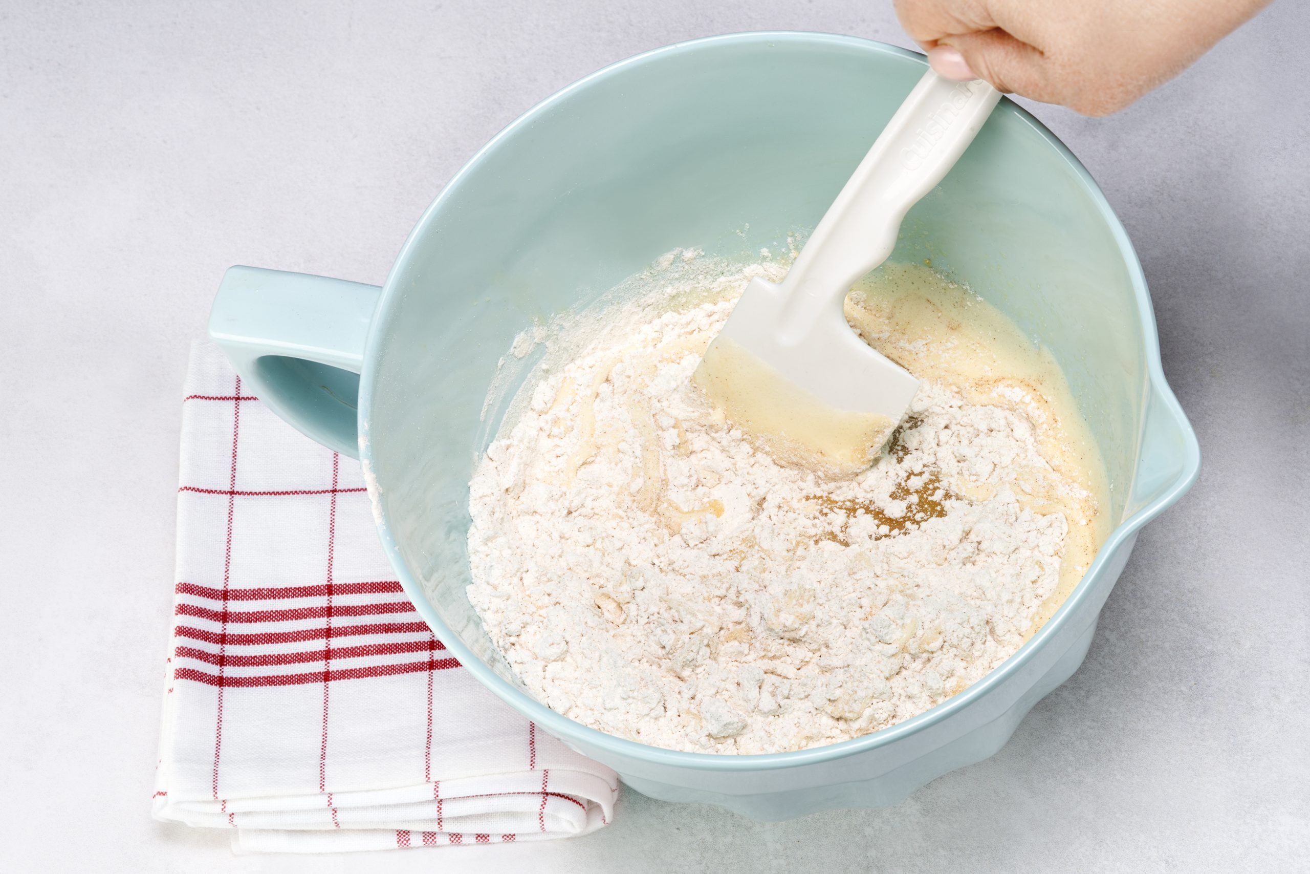 Plum Cake Tohd24 271953 Orlycatz 10