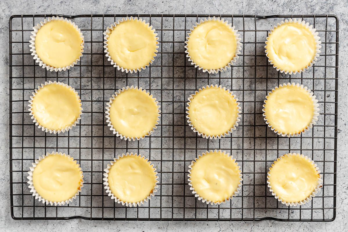 Taste of Home Cream Cheese Cupcakes photo of the baked cupcakes.