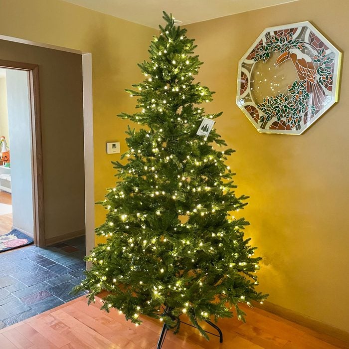 King Of Christmas Alpine Fir