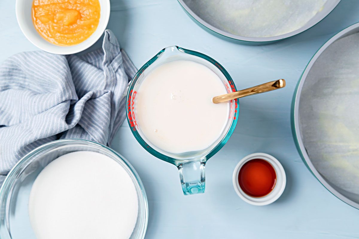 Unsweetened non-dairy milk mixed with apple cider vinegar.