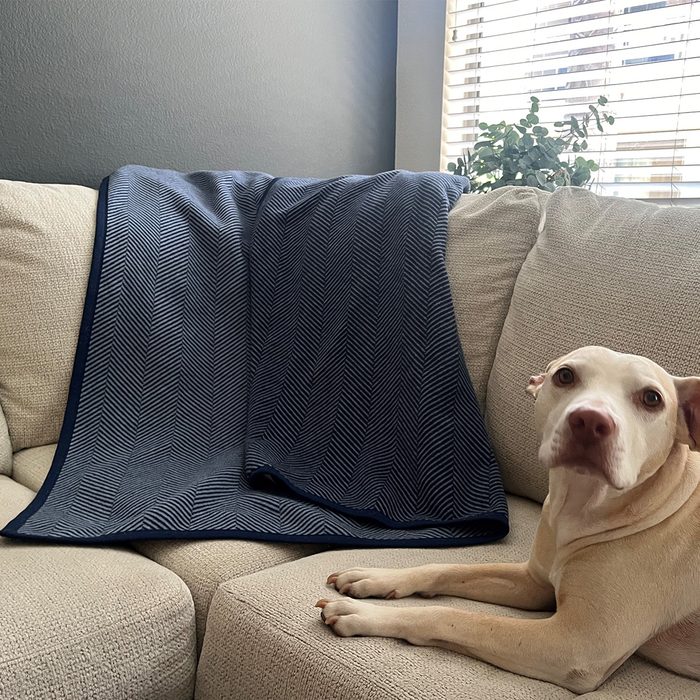 Toha25 Chappywrap Harborview Herringbone Blanket Nancy Synder