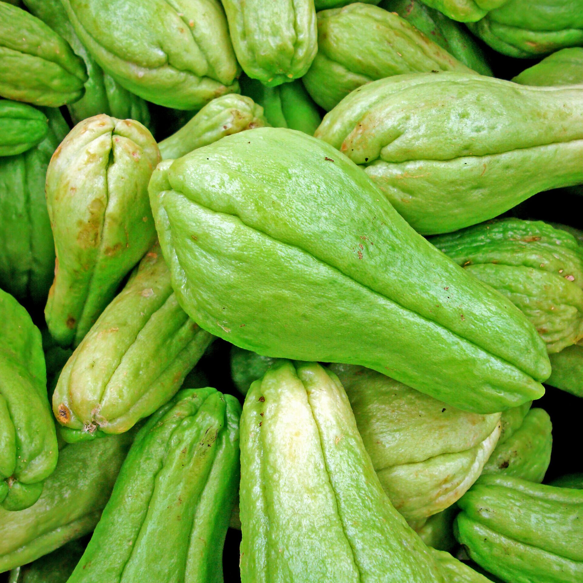 Chayotes in the supermarket