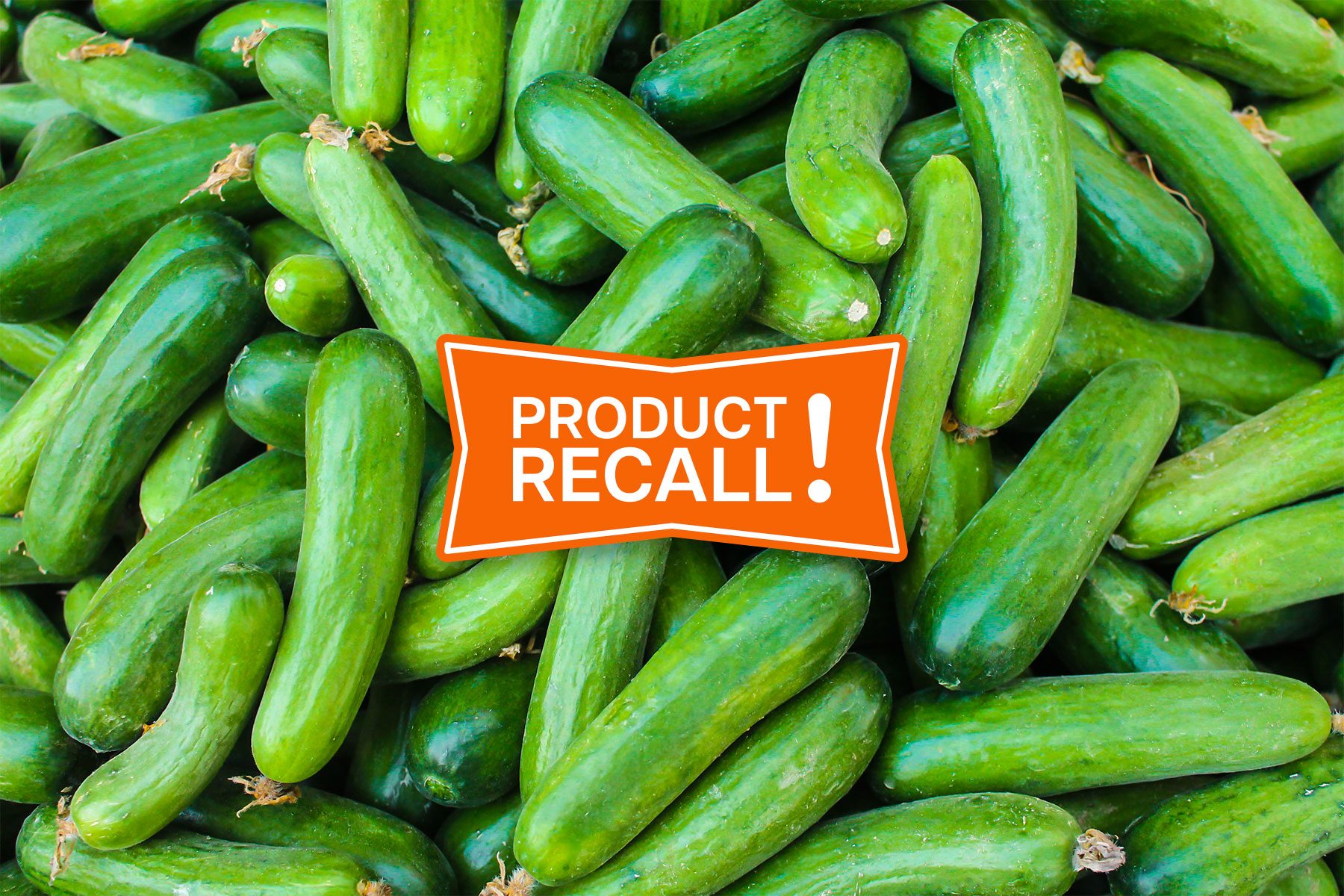 Pile of fresh cucumbers