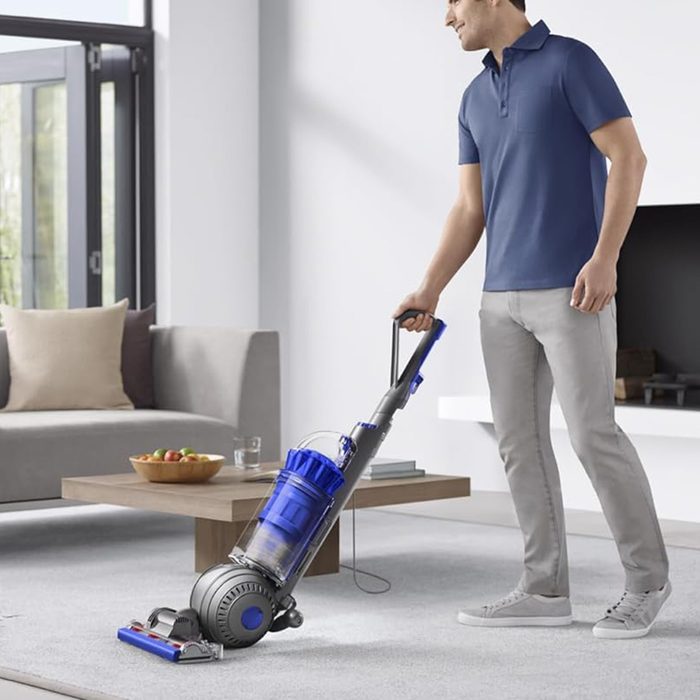 Dyson Ball Animal Via Amazon.com