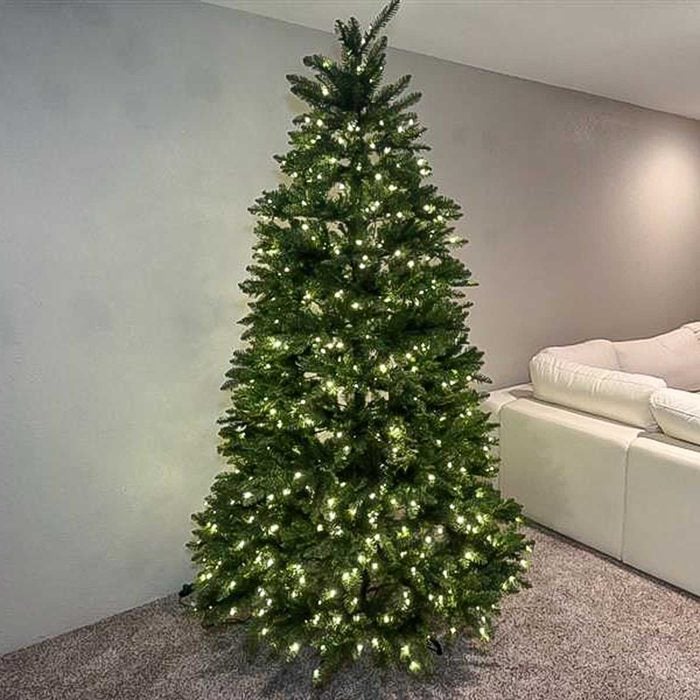 King Of Christmas Yorkshire Fir