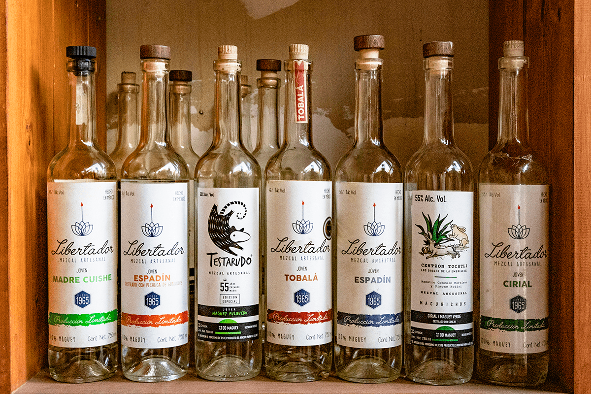Mezcal collection bottles at El Sabino distiller