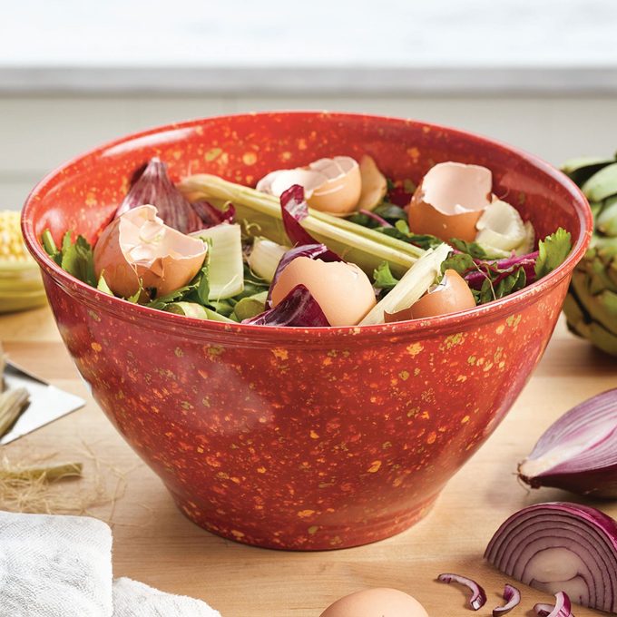 Rachael Ray's Garbage Bowl