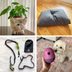 57 Fun Gifts for Dog Lovers, According to Pet Parents