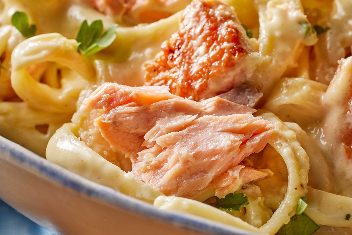 Closeup shot of a Salmon Alfredo creamy pasta intertwined with tender salmon flakes and topped with fresh green herbs in a pale dish